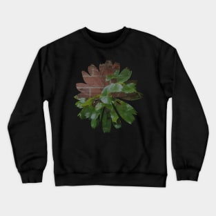 Brick Ivy Flower Crewneck Sweatshirt